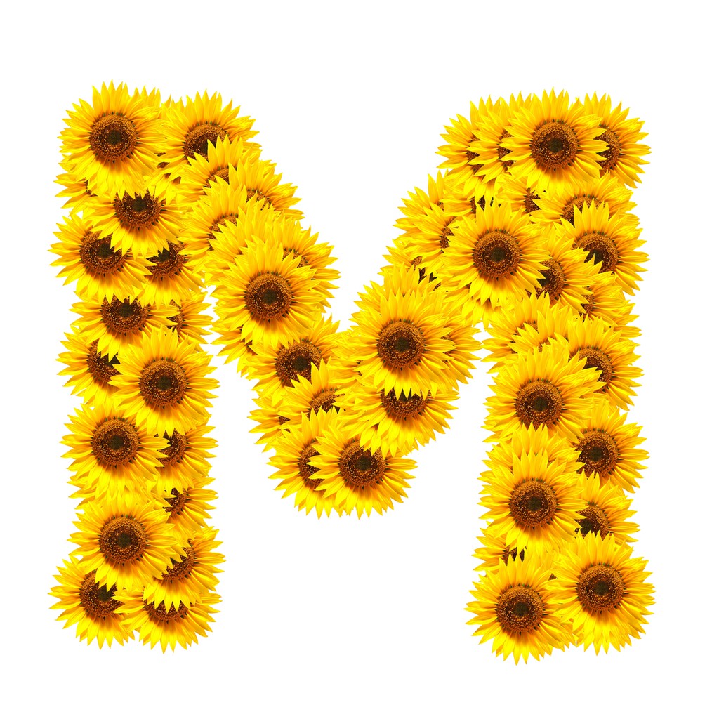 字母组成的花卉图片大全(字母组成的花卉图片大全大图)