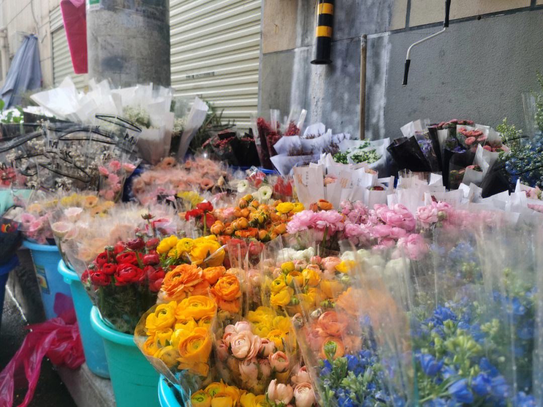 西安大型花卉批发市场大全(西安最大的花卉批发市场在啥地方?)